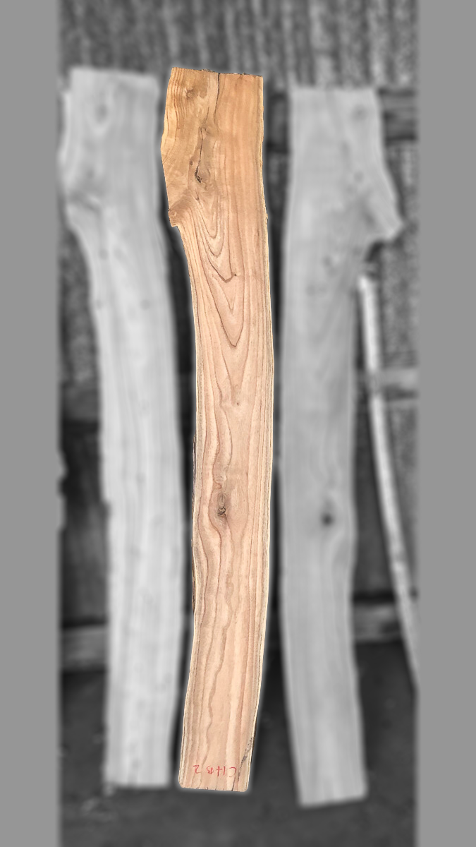 dendro-CHB2bc