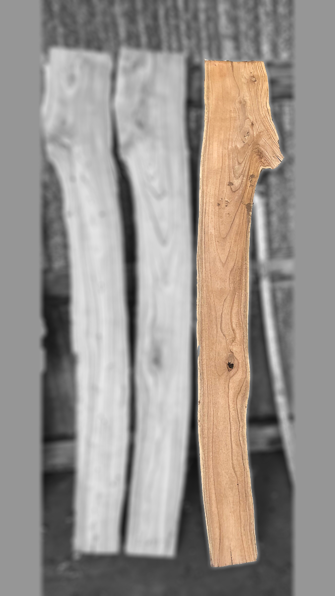 dendro-CHB3bc